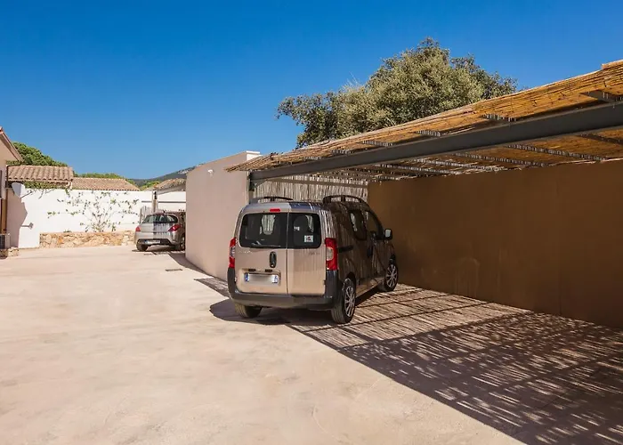 Petra D'oro - Chiappa *